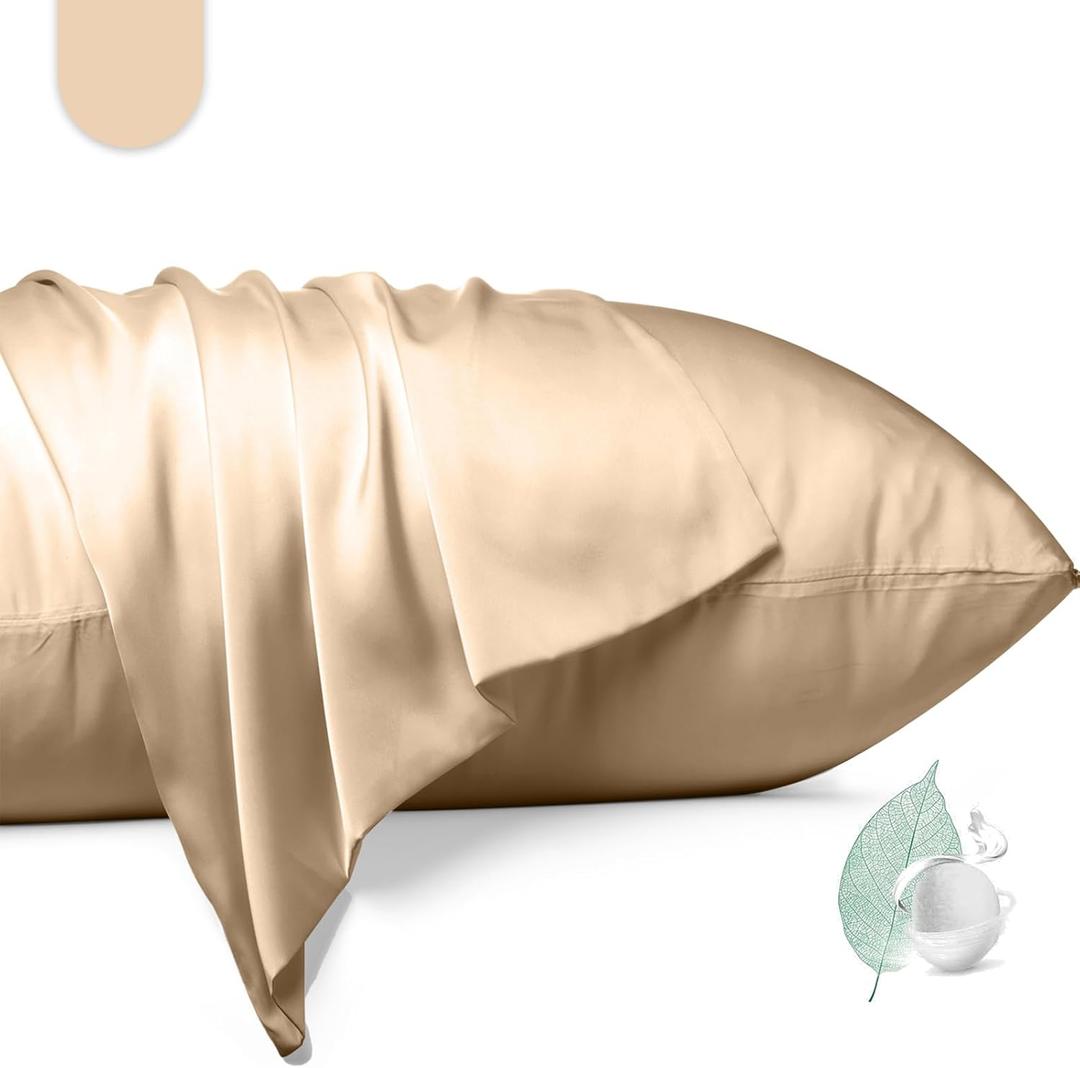100% Mulberry Silk Pillowcase 2 Pack,Queen Size Silk Pillow Cases for Hair and Skin,Silky Smooth Bed Pillow Cover with Hidden Zipper,Natural Silk Pillow Case Set of 2 (Champagne, Queen 20X30)