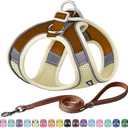 AIITLE Comfortable Dog Harness and Leash Set for Walking - Spring Step in Vest Harness,Reflective Bands, Adjustable No Pull Puppy Essentials, for Small Dogs and House Cats Beige ,Size S