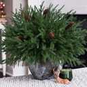 HyeFlora 19 Inch Christmas Norfolk Pine Stems, 12PCS Real Touch Faux Cedar Pine with 5PCS Big Pine Cones Branches, Artificial DIY Greenery Stems Plastic Picks for Vase Indoor Outdoor Home Garden Dcor