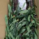 5FT Lighted Olive Tree with 300pcs Lights, Prelit Olive Tree with 8 Flashing Modes and Timer, Came with 500pcs Artificial Olive Leaves and 40 Artificial Olive, LED Olive Tree for Easter Spring Decor.