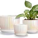 Ton Sin White Plant Pots,Pearl Gold Ceramic Flower Pots 4"+5"+6" Inch Indoor Succulent Pot with Drainage Hole - Decorative Orchid Pots and Herb Pots Set of 3