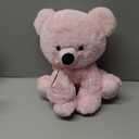 Holiday Home 10-Inch Plush Bear with Keychain