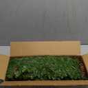 AMERZEST 9Ft Pre-Lit Christmas Garland, Plug in, Green, 50 Clear Lights, Fireplace Stairs Mantle Door Indoor Outdoor, Decorated with Pine Cones