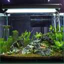 POPETPOP Simulated Crocodile Aquarium Ornament 5.51 Inch Resin Alligator Fish Tank Decor Safe Durable Bubbling Aquatic Decoration for Freshwater Saltwater Tanks