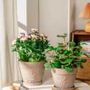 Melphoe Plant Pots Indoor with Drainage & Saucer, 2Pack 7/8 inch Flower Pots Outdoor Planters for Indoor Plants Garden Home Decor Cactus Succulent, Rigid Plastic (Imitation-Terracotta) Vine-Embossed