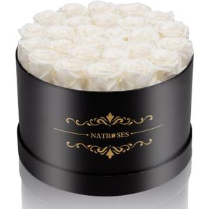 NATROSES 27 Piece Forever Preserved Roses in a Box, Preserved Flowers for Delivery Birthday, Flowers Roses Gifts for Her (White)