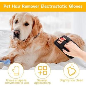 Amazon.com: 2 Pcs Static Pet Hair Removal Gloves,pet hair Removal Tool,Reusable Electrostatic Pet Cat Dog Hair Remover Grooming Gloves Brush Tool for Couch, Furniture, Carpet, Car Seat : Pet Supplies