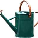Metal Watering Can for Outdoor and Indoor Plants, Watering Can Decor, 1 Gallon (NewGreen)