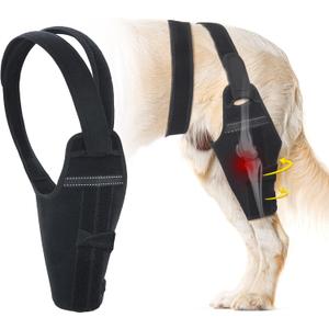 Dog Knee Brace for Back Leg Fit Large to Small Dogs Strong Support Adjustable Dog Legs Braces with 2 Metal Strips for Hip Dysplasia, ACL, CCL, Ligament Injuries & Osteoarthritis (Right Leg, M)
