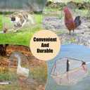 Chicken Catching Net 2 Pcs, Bird Catching Net, 32" to 80" Stainless Steel Poultry Catcher for Catching Small Chicken, Goose, Ducks, Fish, Birds(2 Nets, 1 Pole Included)