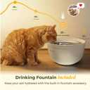ARENTI Automatic Cat Feeder and Water Dispenser with Camera, 2K Adjustable View & Invisible Privacy Mode, 4.5L Cat Food Dispenser Fountain Combo, 5G/2.4G WiFi, 2-Way Audio, AI Alerts, Battery Backup