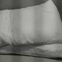 EIUE Bed Pillows for Sleeping 2 Pack Queen SizeSuper Soft Down Alternative Microfiber Filled Pillows,20 x 30 Inches,White