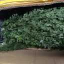 3FT Artificial Cedar Topiary Tree for Outdoor & Indoor Use UV Rated Faux Cedar Tree in Planter, Fake Plants for Outdoor Planters & Indoor Decor, Ultra Realistic Artificial Shrubs (2 Pack)