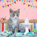 SiliFine 122 Pcs Cat Birthday Party Supplies Disposable Cat Themed Tableware Include 24 Dinner Plates 24 Dessert Plates 50 Paper Napkins 24 Forks Kitten Birthday Party Decoration for 24 Guests (Green)