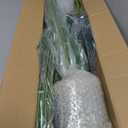 4ft 2pcs Large Artificial Plants Fake Palm Tree Tropical Palm Leaves Faux Palm Plants Tall Tree Indoor Real Touch Plastic Monstera Leaves for Home Garden Outdoor Office Decor (4ft/125cm-2pcs)
