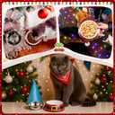 Qinyoung Christmas Pet Food Bowl for Small Dog Cat, 7oz Red Santa Belt 2 in 1 Dog Food Water Bowl Stainless Steel Ceramic Stackable Pet Dish Water Feeder Non Slip Easy Clean 5.51 x 4.33 x 1.77 Inch