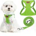 PUPTECK Dog Harness and Leash Set Small Sized, Step-in Cute Puppy Harness, Soft Lightweight Padded Vest, Escape Proof No Pull Pet Harnesses Easy for Walking, Green, XXS