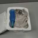 Brazilian Lucky Wood Plant,Fortune Brazil Wood Potted Plant,Mini Brazil Decoration, Desk Decor for Home & Office Desktop Planter