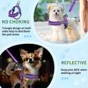 SlowTon No Pull Small Dog Harness and Leash Set, Puppy Soft Vest Harness Neck & Chest Adjustable, Reflective Lightweight & Anti-Twist Pet Lead Combo for Small Medium Dogs (PU-Front Clip, M)