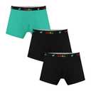 Carer Boys Incontinence Underwear Washable Kids Cotton Incontinence Boxer Briefs with Front Absorbency 80ml Reusable Leak Proof Underwear for Youth Boy Age (2 Black, 1 Green, L)