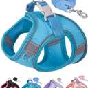 Dog Harness for Small Medium Sized Dog, Step in Puppy Harness and Leash Set Training Walking (Blue, S)