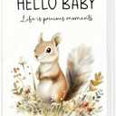Cabana Bro Baby Photo Album Holds 36 4x6 Photos, Squirrel Lovers Gifts, Hello Baby Life is Precious Moments Small Photo Album Memory Keepsake Gift for Babies Shower Newborn Toddler Boys Girls