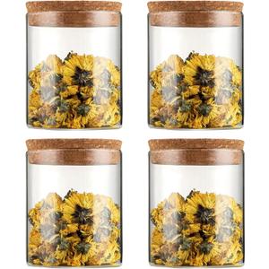 WHJY 4 Pack Rustic/Vintage Glass Jar Set - 16oz Airtight Cylindrical Jars with Cork Lids for Sugar, Coffee Bean, Nuts, Candy & More