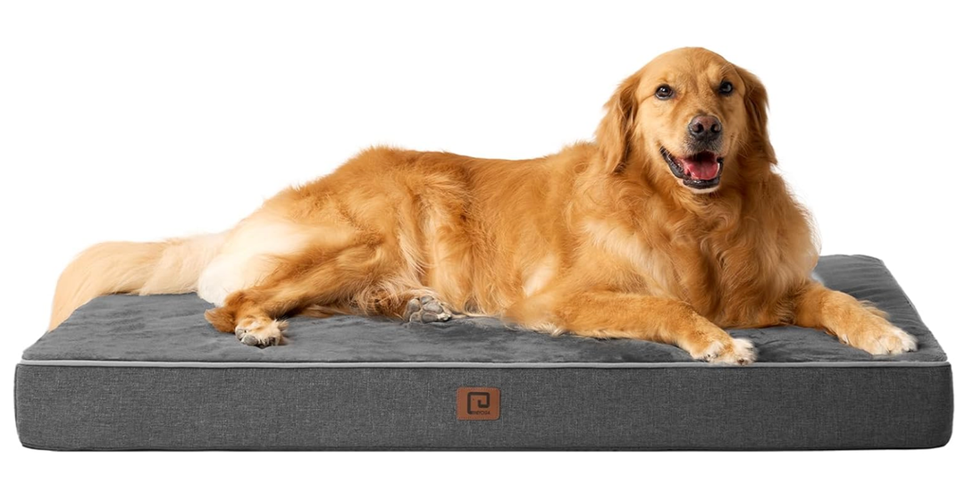EHEYCIGA waterproof dog bed orthopedic 47" x 29" memory foam pet bed for XXlarge dog bed, washable pet mat with removable cover, dark grey