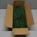 12 Pcs Artificial Norfolk Pine Branches, Norfolk Pine Artificial Pine Stems DIY Crafts Faux Christmas Greenary Norfolk Pine Branches for Xmas Wreath Garland Home Decor (12)