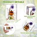 Macarrie 12 Pcs Insect Specimens for Kids Bug Collection Kit Real Specimens of Various Butterflies Beetles Classroom Science Education Animal Collection Bug Preserved Biology(Scenery)