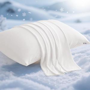 Elegear Cooling Pillow Cases for Hot Sleepers, Japanese Q-Max 0.5 Cooling Pillowcases, Both Sides(Cooling/Cotton), Breathable Soft Pillowcase for Hair and Skin, Set of 2-White (Standard (20" x 26"))