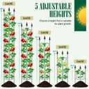 2 Pack 56.7'' H x 12'' W Garden Trellis for Climbing Plants Outdoor, Rustproof Metal Garden Flower Trellis, Rose Trellis for Outdoor Indoor Climbing Plants Clematis Vines Flowers Potted Plants, Tomato