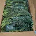 Prelit Christmas Garland 9ft with Multi-Function with 50 Warm White Multi-Color Lights, Battery Opreated Christmas Decor Timer for Mantle Staircase Indoor and Outdoor Prelight Xmas Garland