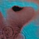 Meddle by Pink Floyd