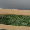 2Set 4FT Artificial Christmas Norfolk Pine Tree for Front Porch Decoration