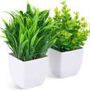 DomeStar 2PCS Small Plants Indoor, Faux Potted Plants Spring Greenery for Home Decor, Desktop Shelf, Bathroom Kitchen Office