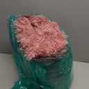 ISEAU 4x6 Area Rug for Living Room, Blush Rugs for Bedroom, Dorm, College, Apartment, Soft Shaggy Carpets, Machine Washable Mats, Under Bed, On Nursery Floors Mat, Boys, Girls Room Carpet