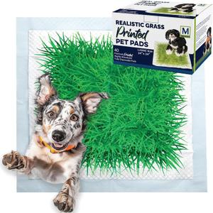 Big Dawg Pet Supplies Realistic Grass Printed Disposable Pet Pads. 24x24in Puppy Pee Pads for Dogs, Cats, and Small Animal Wee in Handy Grab-n-Go Box. Absorbent Potty Training, Housebreaking Supplies