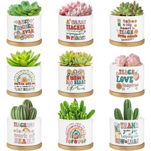 SAIWEILAI ONLINE 9Pcs Teacher Appreciation Gifts Teacher Flower Style Succulent Plant Pot Succulent Accessories for Teacher Women Birthday Gift Plants Not Included