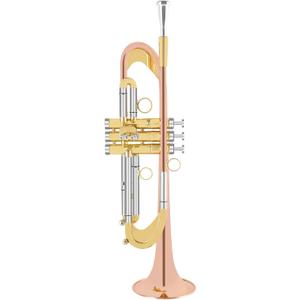EASTROCK Bb Trumpet Standard Trumpet Set with Carrying Case,Gloves, 7C Mouthpiece, Cleaning Kit, Tuning Rod (Cupronickel)