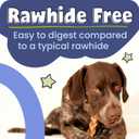 Pawstruck Natural 35" Bully Sticks for Small Dogs and Puppies Single Ingredient, Low-Odor, Rawhide-Free Chew Treat 100% Real Beef, No Artificial Preservatives 8 oz Bag Packaging May Vary | Single Ingredient, High Protein, Rawhide Free Dog Chew for Tiny Dogs, X-Small to Small Dogs, Low Odor, Supports Dental Health (EXP 08/05/28)