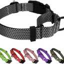 BXPAW Martingale Dog Collars Adjustable Training Martingale Collar for Dogs - Reflective No Pull Dog Collar with Quick Release Buckle(Grey L)