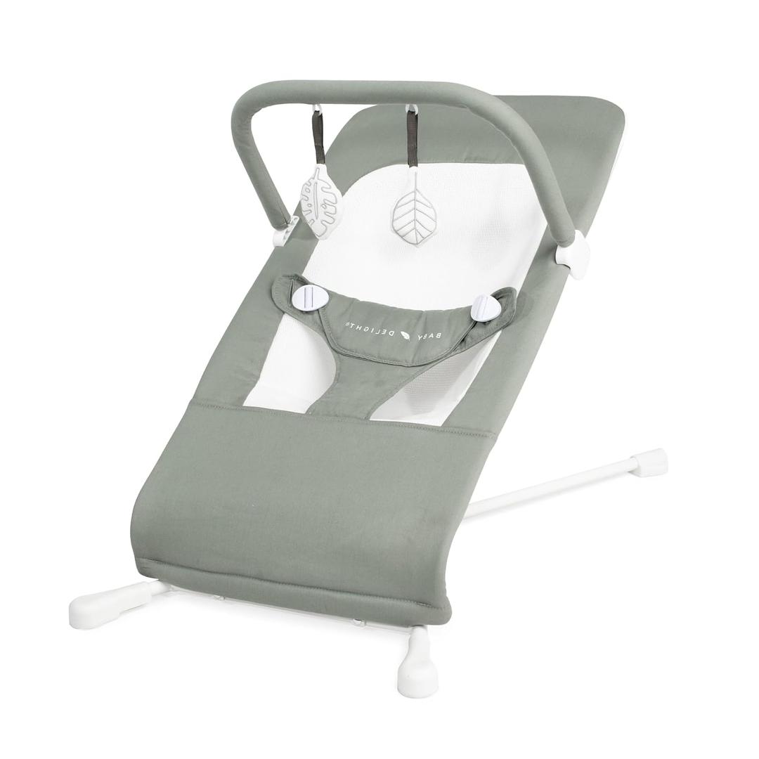 Baby Delight Highland Organic Baby Bouncer | Infant | 0 6 Months | 3-Position Recline | Organic Sage