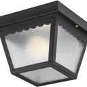 Progress Lighting 1-Light Indoor and Outdoor Flush Mount Ceiling Light, Interior and Exterior Ceiling-Mount Fixture for Porches, Patios, Garages, Hallways, Metal, 7-1/2" by 5", Black, P5727-31