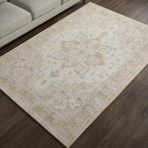Muddy Mat Champagne 3ft x 5ft Washable Area Rugs for Living Room, Bedroom & Dining Room  Modern Soft Low Pile Non Slip Carpet  Pet Friendly Waterproof Foldable Rugs for Home