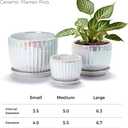 Ton Sin White Plant Pots,Pearl Gold Ceramic Flower Pots 4"+5"+6" Inch Indoor Succulent Pot with Drainage Hole - Decorative Orchid Pots and Herb Pots Set of 3