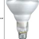 PHILIPS 65W BR-30 Reflector Flood Light Bulb, E26 Medium Base, 620 Lumens, Indoor, 12 Pack