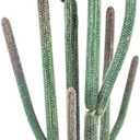 Tall Faux Cactus Plant62in Realistic Texture Tall Fake Plant, Artificial Cactus Large with White Planter Indoor Outdoor for Home Office Living Room Bedroom Foyer Porch Decor. (60in with basic plastic black planter)