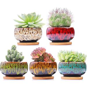 Cute Ceramic Succulent Garden Pots, Planter with Drainage and Attached Saucer, Set of 5 -Plants Not Included (Round)