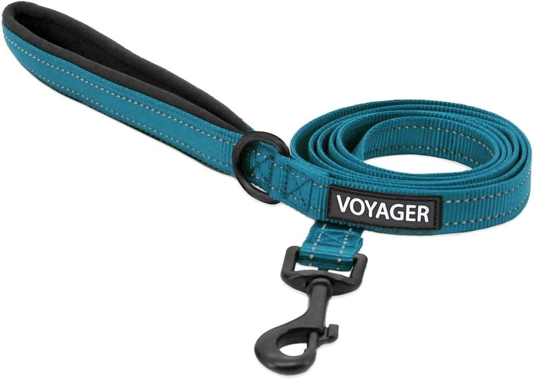 Best Pet Supplies Voyager Reflective Dog Leash or Collar with Neoprene Handle,Breed Puppies, Cute and Heavy Duty for Walking, Running and Training - Turquoise (Leash), M (Leash (3/4" x 5 ft))